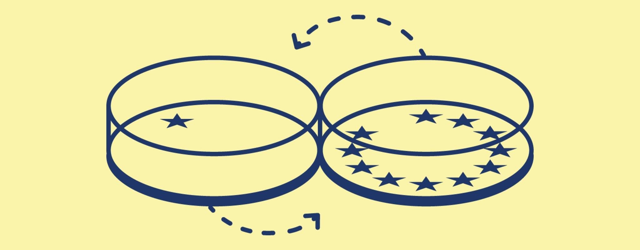 Illustration showing two petri dishes with European Union flag stars moving between the dishes in both directions