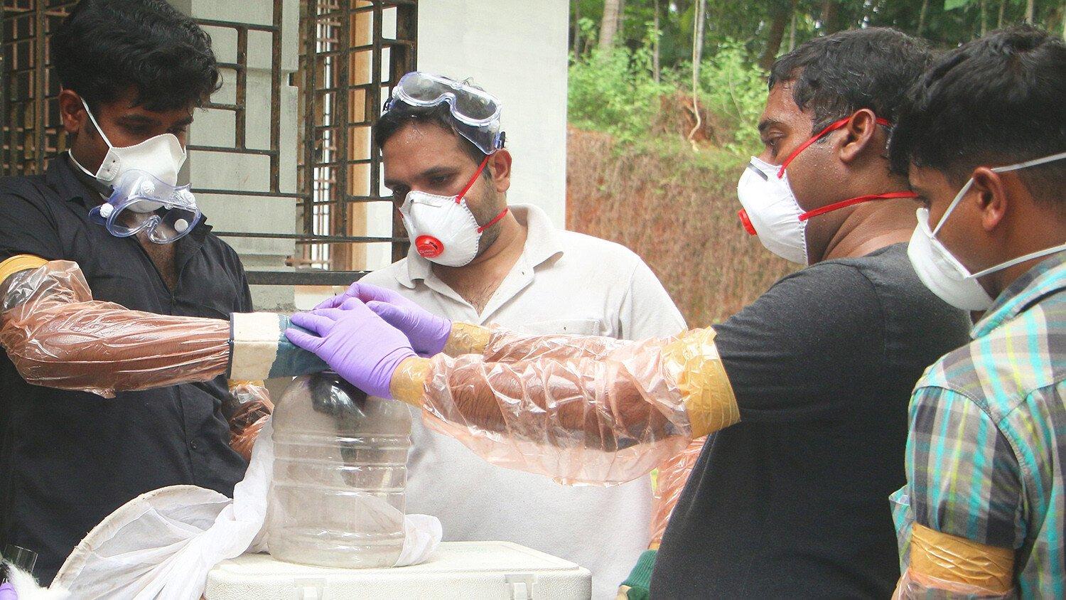 Forest officials in the Indian state of Kerala deposit a bat into a container