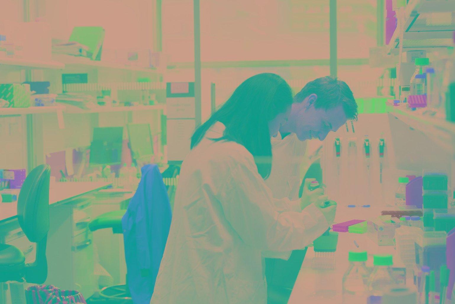 Researchers work in a laboratory at The Crick Institute in London