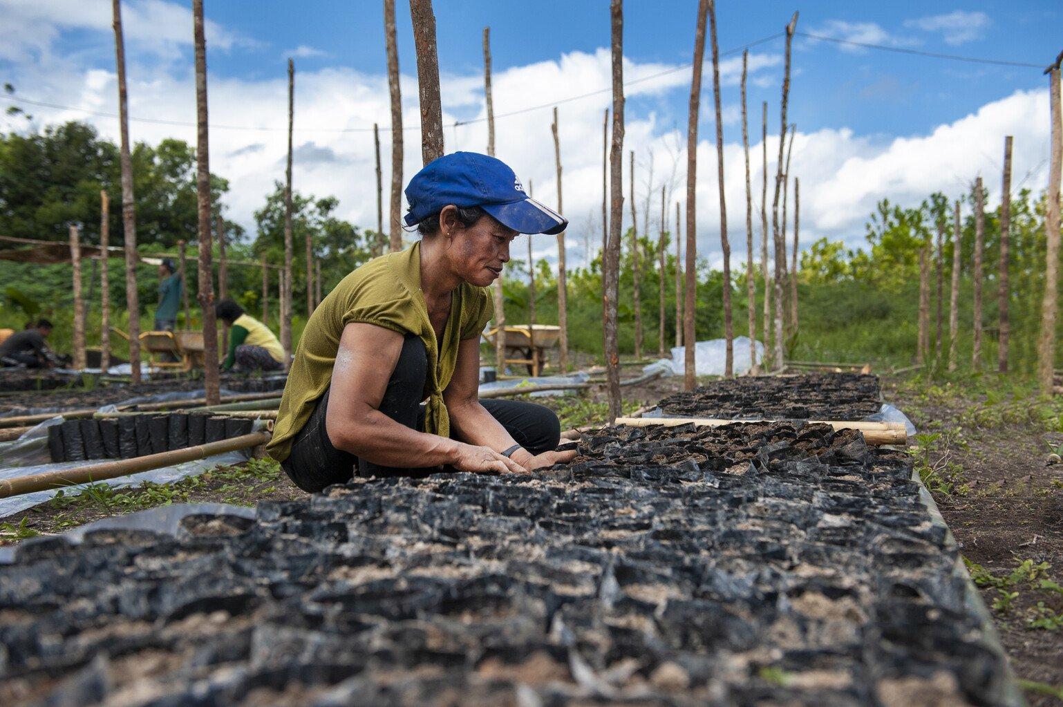 A woman plants seedlings in soil outdoors.