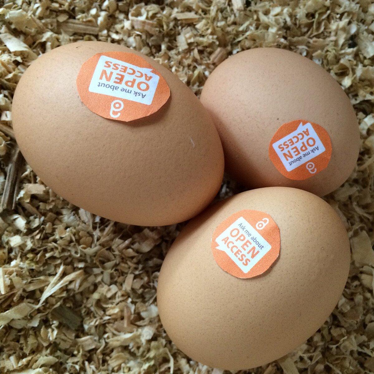 Eggs with 'ask me about open access' labels