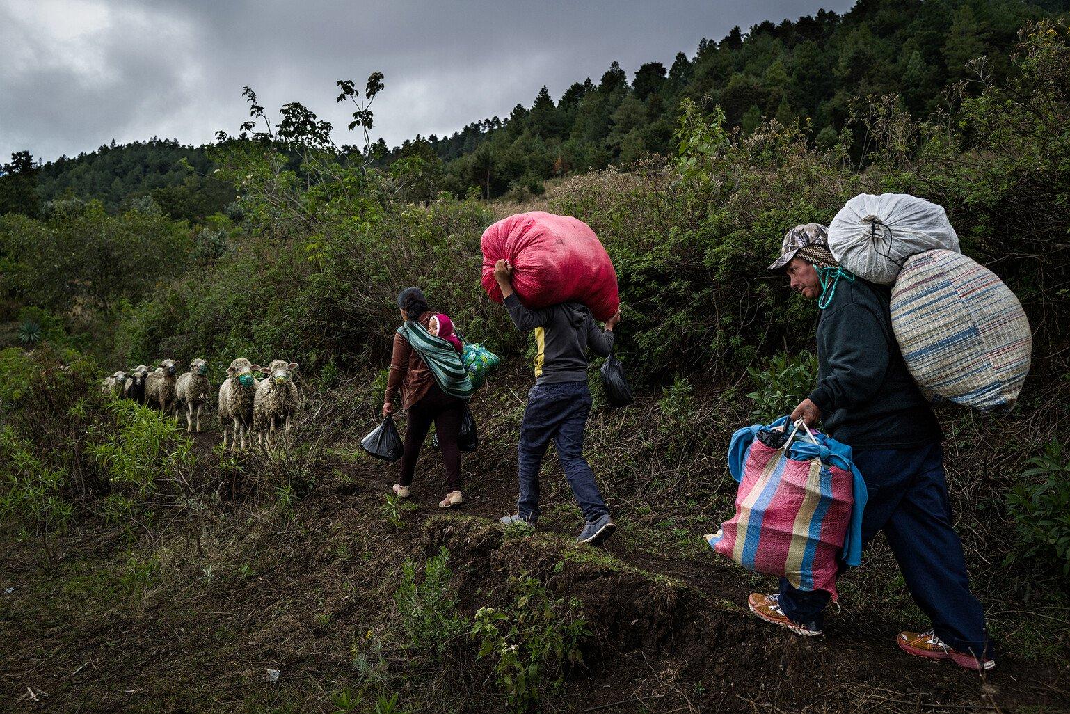 A family carries their belongings on their back as they go in search of work.