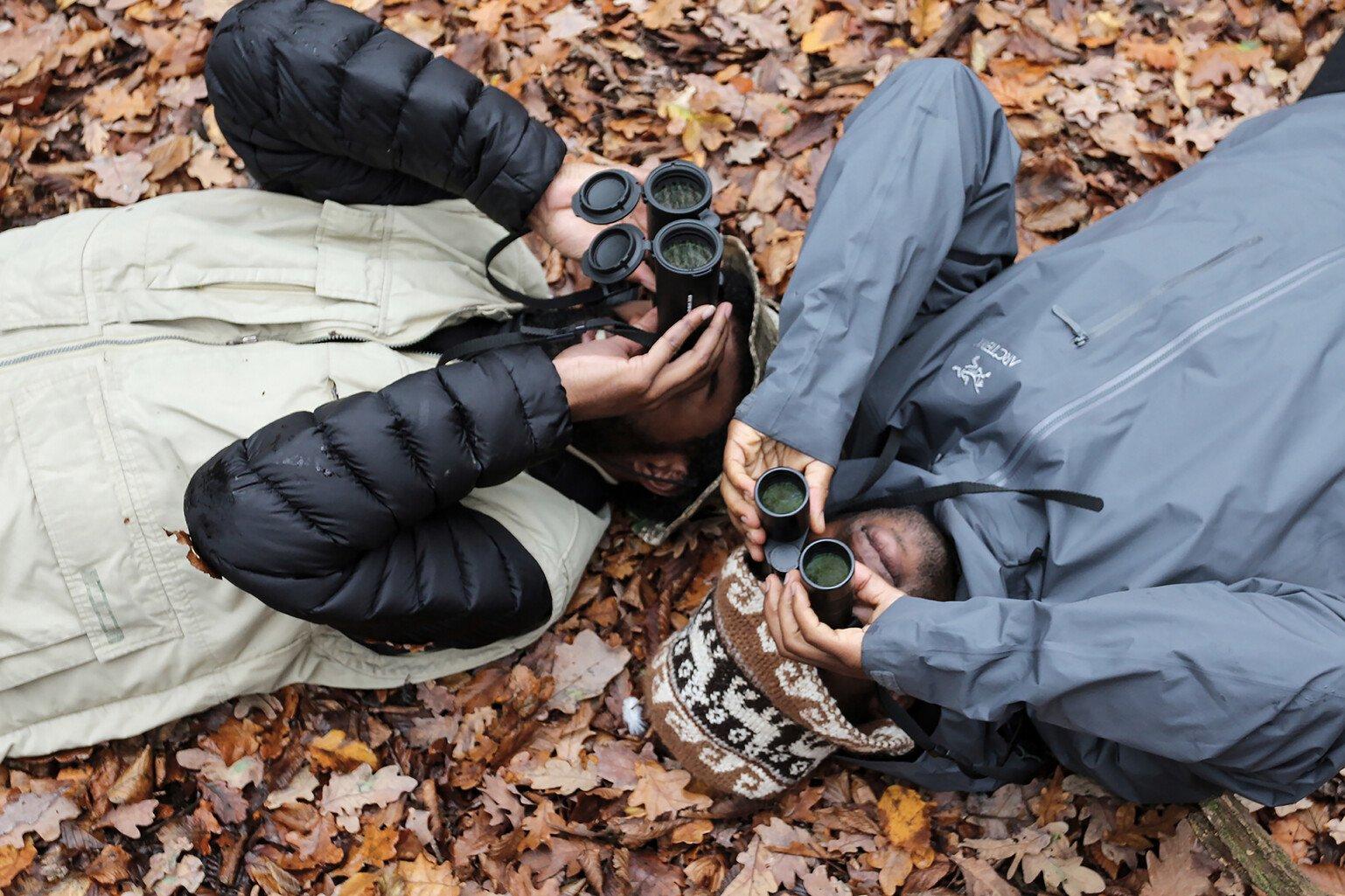 Birdwatchers lie on the ground to get a new perspective, looking upwards into the trees. 