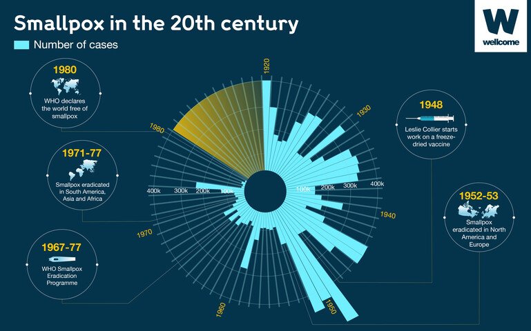 Infographic showing rates of smallpox in the 20th century