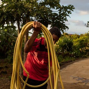 13-year-old boy watering his plot at a collective garden