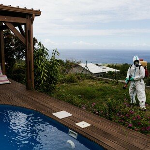 Man spraying insecticide in garden to prevent adult mosquitoes spreading dengue virus