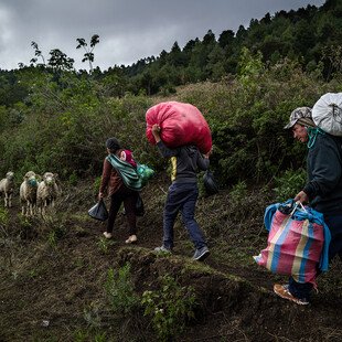 A family carries their belongings on their back as they go in search of work.