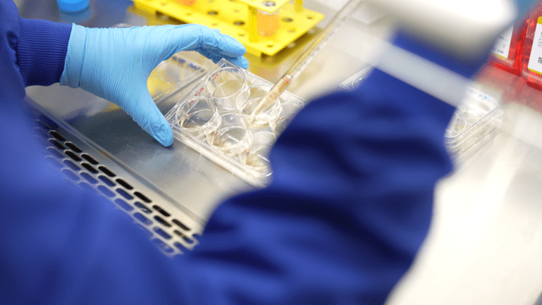 A researcher's gloved hands are pictured close-up, working with some specimens in a suspension culture plate.