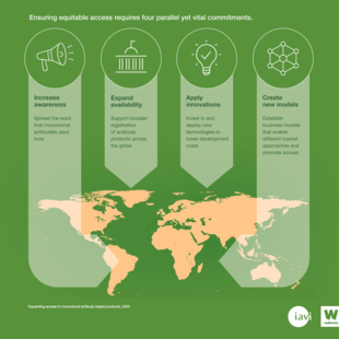 Map of the world underneath an icon for each of the four commitments - speakerphone increase awareness, building expand availability, lightbulb apply innovations, hub and spoke create new models  