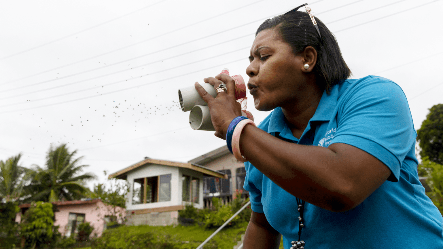 Woman takes part in the World Mosquito Programme in the South Pacific